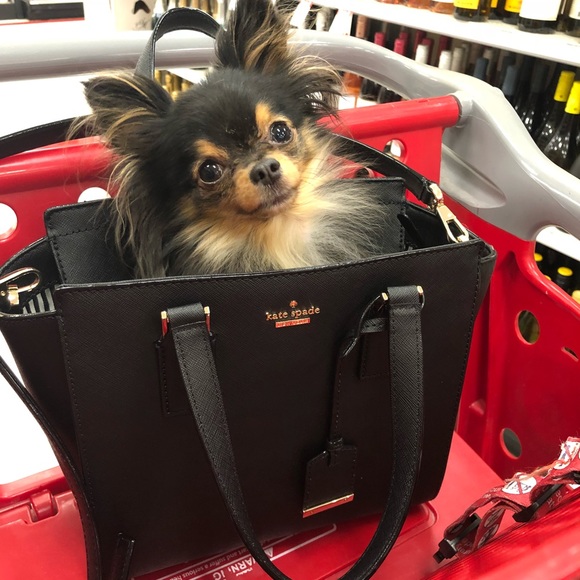 💜MEET YOUR POSHER, MERANDA💜 - Picture 2 of 2